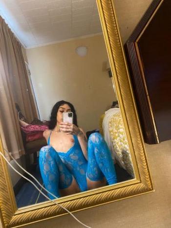 3155651499, female escort, Buffalo